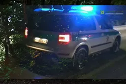 Miškelyje policija sulaikė septynis vaikinus, nepilnamečiai perduoti tėvams