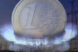 Jei liepos 1 d. numatytas elektros ir dujų kainų didinimas Lietuvoje nebus atšauktas, siūloma protestuoti