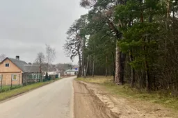 Sanatorijos gatvėje planuojami želdinių tvarkymo darbai