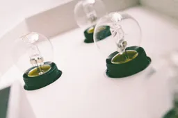 Veltui iššvaistome 35 proc. elektros energijos