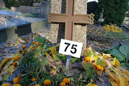 Sudaryti Klevų ir Daugų g. kapinėse galimai neprižiūrimų kapaviečių sąrašai