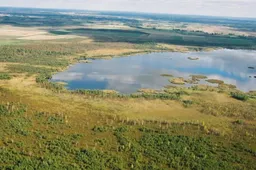 Žuvinte – „siaubingi gausumai“ agresyvių vėžiagyvių iš Ukrainos, yra ir vėžių iš Amerikos