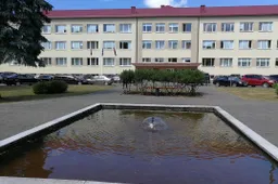 Kokios Alytaus kolegijoje atlikto audito išvados?