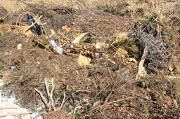 Seniūnas: žaliosios atliekos prie naujų kapinių bus sutvarkytos artimiausiu metu