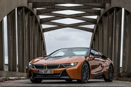 Hibridai ir jų nauda visuomenėje