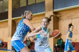 Namų sienos laimėti alytiškėms nepadėjo