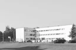 Antradienį į mokyklas – pagal tėvų pasirinkimą