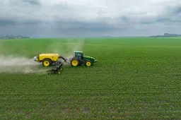 Fosforo trūkumas dirvožemyje: požymiai ir sprendimai