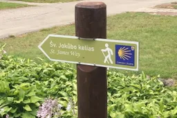 „Camino Lituano“ kelio kūrėjai – apie jo pradžią: „Einant per Lietuvą teko atsiremti ir į neišbrendamas pelkes“