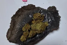 Prie ulonų bataliono tvoros Alytuje besisukiojęs vyras sulaikytas su narkotikais