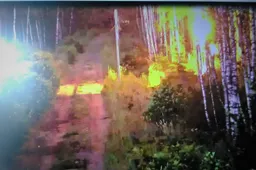 Įsivyrauti gaisrui Čepkelių rezervate neleido pasieniečiai