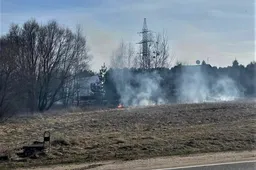 Prašo nedeginti pernykštės žolės, už tai baus, ūkininkams gali mažėti išmokos