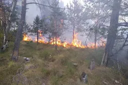 Daugiausia gaisrų atvirosiose teritorijose kyla balandį