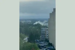 Informuoja skaitytojai: degė miškelis Raudonkalnio gatvėje