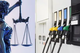 Iš Dzūkijos politikų „čekiukų“ bylose prašoma priteisti per 21 tūkst. eurų