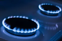 Dujų kaina Lietuvoje bus taikoma su valstybės kompensacija