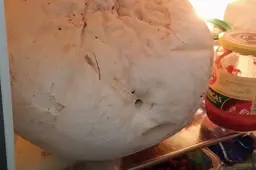 Alytiškių sodyboje - milžiniški ir skanūs pumpotaukšliai (NUOTRAUKOS)