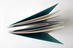 Rankomis įrištai ir sunumeruotai alytiškės menininkės knygai – konkurso laurai