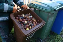 Maisto atliekos: mesti, išvežti ar kompostuoti?