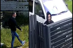 Ieško dėl vagystės, fizinio skausmo sukėlimo ir svetimo turto sugadinimo