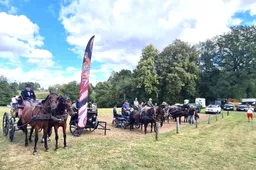 Žirgai žvengia Revuose, čia važnyčioja ir lietuviai, ir lenkai