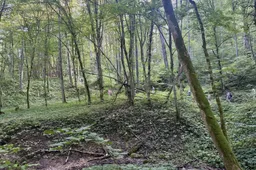 Viešosios miesto erdvės kviečia judėti darniai kartu