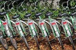 Renkame dviračio stovą: ko svarbu nepamiršti?