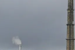 Suderino Alytaus šilumos tinklų bendrovės investicijas