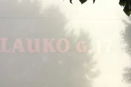 Putinuose rastas sužalotas vyras, šalia – pistoletas