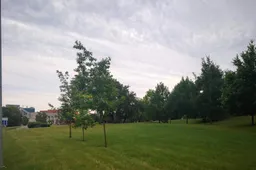 Alytiškiai kviečiami tapti Želdynų ir želdinių apsaugos, priežiūros ir tvarkymo komisijos nariais