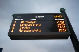 Kada gavėjus pasieks vienišo asmens išmokos?