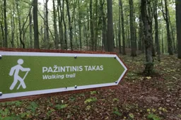 Atrask įdomias vietas Vidzgirio draustinyje