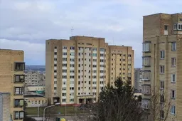 Alytaus mieste nukentėjo moterys