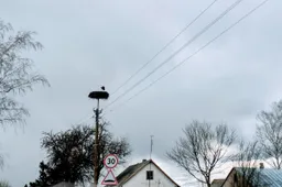 Ką daryti dingus elektrai ir prieš jos netenkant?