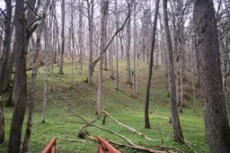 Alytus kviečia į nemokamas ekskursijas Vidzgirio draustinyje