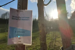 Genealogijos entuziastas: giminės medį turėtų sudaryti kiekviena šeima