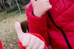 Lietuvoje atsiras papildomas mamadienis (tėvadienis)