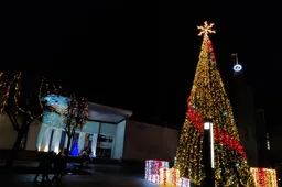 Alytaus policija: nemaža dalis teisenų pradėta dėl to, kad gyventojai nesupranta, jog šventes turime švęsti tik savo šeimose