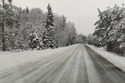 Meteorologai įspėja dėl mažiausiai pusantros paros truksiančio snygio, pūgos