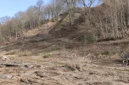 Punios piliakalnis neatpažįstamai keičiasi