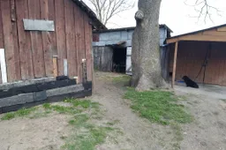 „Mirties pardavėjams“ Alytaus mieste gresia ilgi metai už grotų