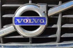 Grotelių vagystės nuo automobilių Alytuje nesiliauja