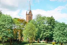 Birštone nukritusi medžio šaka mirtinai sužalojo moterį