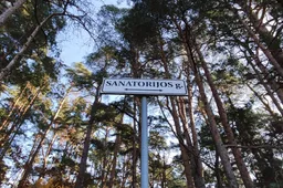 Nuo vasaros ieškoto vyro kūnas Alytuje rastas miške