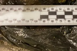 „Maišelių“ policija rado pas vairuotoją ir keleivį