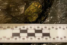 Automobiliuose – augalinės kilmės narkotinės arba psichotropinės medžiagos