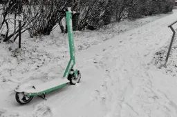 Žiema baigėsi: į Alytaus ir dar dešimties Lietuvos miestų gatves vėl išriedės paspirtukai