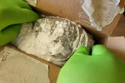 Narkotikų verslo paslėpti skalbimo milteliuose alytiškiui nepavyko