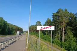 Kokių miškų grupių daugiausia Dzūkijoje?