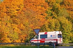 „Ford“ susidūrė su briedžiu – nukentėjo vairuotojas ir automobilyje važiavęs mažametis